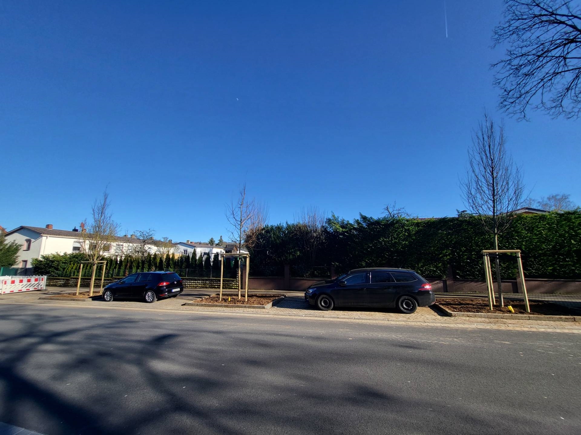 Straße mit neu gepflanzten jungen Bäumen, zwei geparkte Autos und klarer blauer Himmel