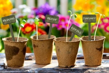 Vier kleine Pflanztöpfe mit jungen grünen Keimlingen und Schildern mit den Worten 'BILDUNG', 'BERUF', 'ERFOLG' und 'ZUKUNFT' vor unscharfem buntem Blumenhintergrund