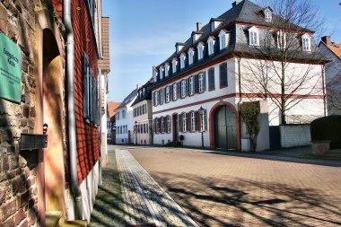 Straße mit historischen Fachwerkhäusern und einem Baum an einem sonnigen Tag