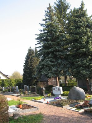 Friedhof mit mehreren Grabsteinen, großen Nadelbäumen und einem kleinen Gebäude im Hintergrund