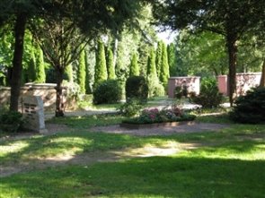 Friedhof mit Gräbern, umgeben von Bäumen und Sträuchern, bei Sonnenschein