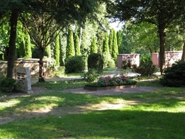 Friedhof mit Gräbern, umgeben von Bäumen und Sträuchern, bei Sonnenschein