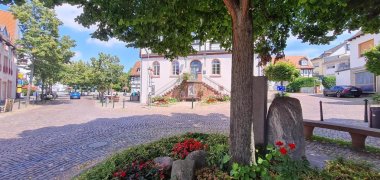 Baum mit Blumenbeet und Stein an einer gepflasterten Straße vor dem historischen Rathaus Bad Vilbel mit Treppe und mehreren Fenstern