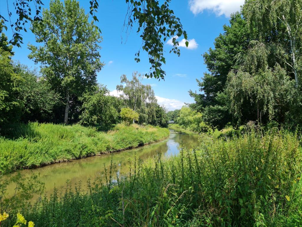 Fluss mit grünem Ufer und Bäumen unter blauem Himmel mit vereinzelten Wolken