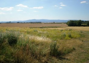 Weite Feldlandschaft mit hohem Gras und Büschen im Vordergrund sowie flachem Ackerland und Baumgruppen im Hintergrund unter blauem Himmel mit wenigen Wolken