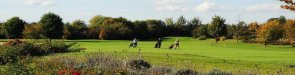 Golfplatz mit mehreren Golfern und Golfwagen auf gepflegtem Grün unter blauem Himmel