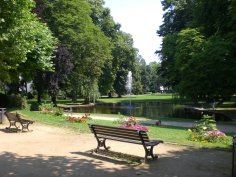 Parkbank vor einem Teich mit Springbrunnen umgeben von Bäumen und Blumen im Kurpark