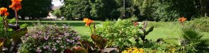 Kurpark Bunte Blumen und Pflanzen auf einer Wiese mit Bäumen im Hintergrund