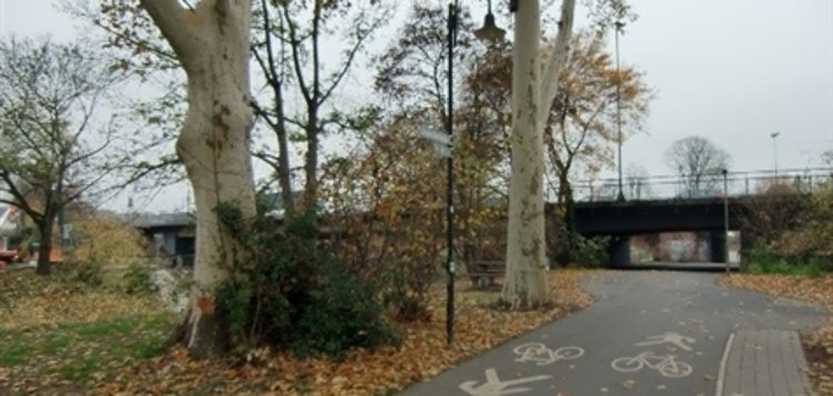 Niddaradweg Radweg mit Piktogrammen für Fußgänger und Fahrradfahrer neben Bäumen und einer Brücke im Hintergrund