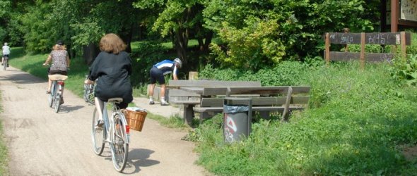 Mehrere Personen fahren auf einem schmalen Weg mit Fahrrädern, rechts davon eine Sitzbank mit einem Mülleimer und einem Informationsschild im Grünen