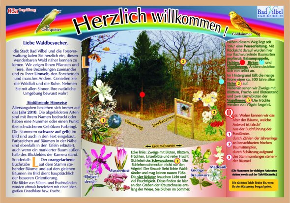 Infotafel mit buntem Regenbogenkopf und Texten zu Waldpflanzen, Tieren und einem Lehrpfad mit Fotos von Pflanzen und Tieren sowie erklärenden Texten und Symbolen