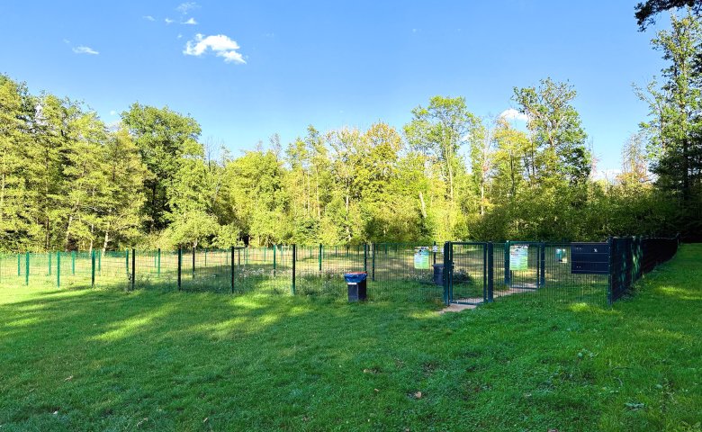 Grüne eingezäunte Hundewiese mit Mülleimer und Bäumen im Hintergrund unter blauem Himmel