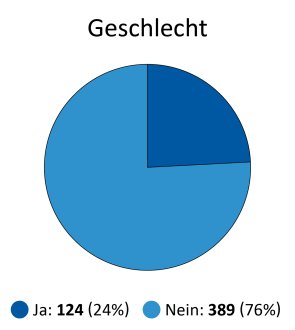 Jugendbefragung 2026 Kreisdiagramm mit zwei Segmenten zur Geschlechterfrage, ein kleines dunkleres Segment für 'Ja' mit 24 Prozent und ein größeres helleres Segment für 'Nein' mit 76 Prozent