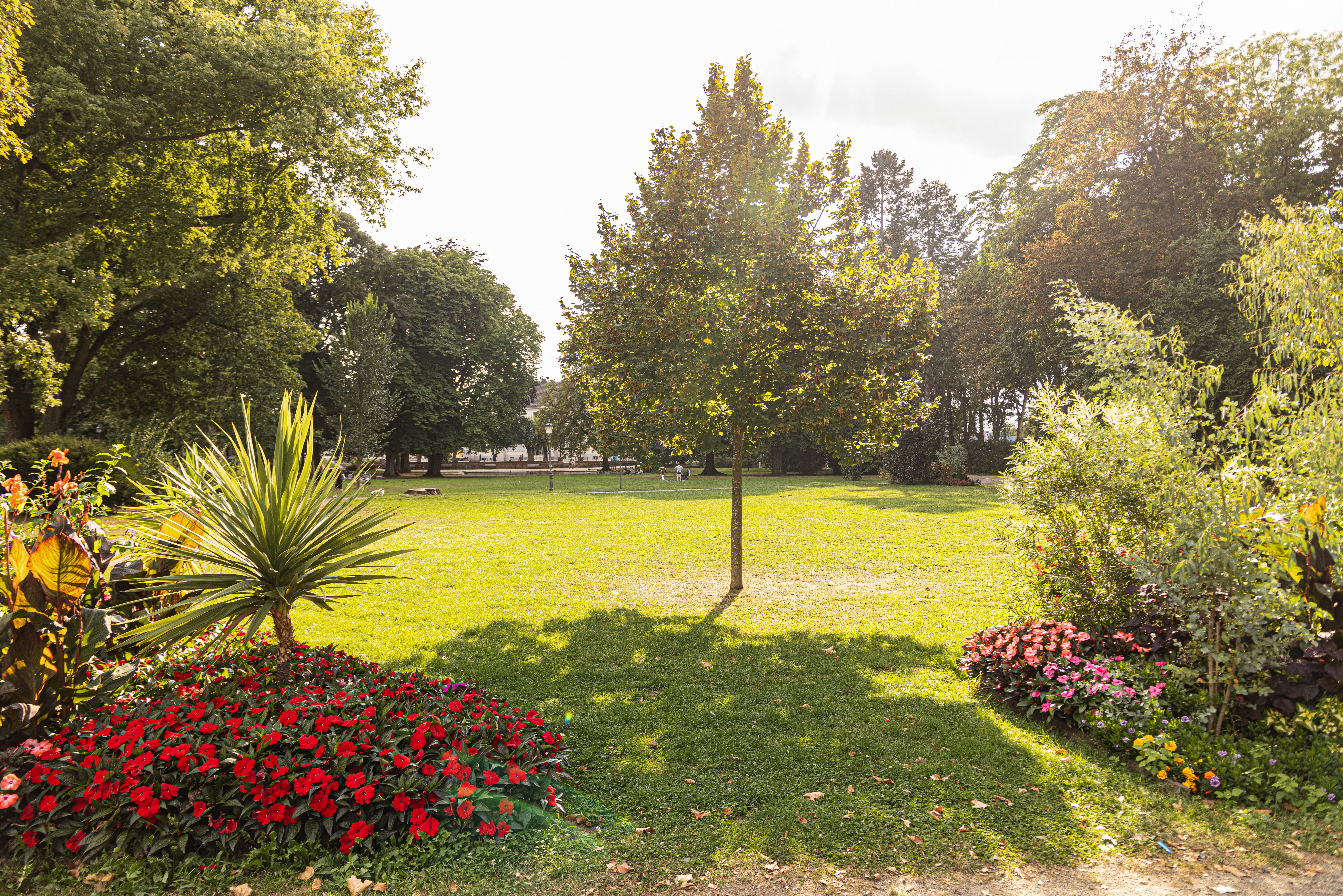 Grüne Parkwiese mit einzelnen Bäumen und Blumenbeeten im Vordergrund bei sonnigem Wetter
