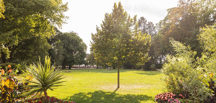 Kurpark Bad Vilbel Grüne Parkwiese mit einzelnen Bäumen und Blumenbeeten im Vordergrund bei sonnigem Wetter