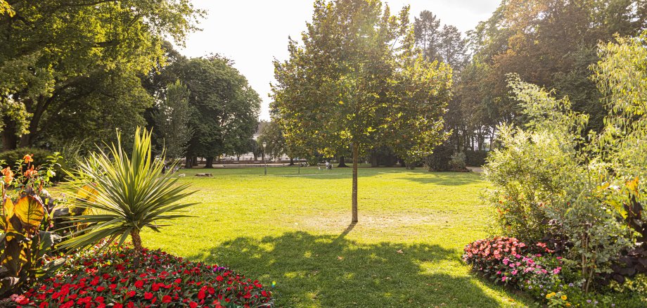 Grüne Parkwiese mit einzelnen Bäumen und Blumenbeeten im Vordergrund bei sonnigem Wetter