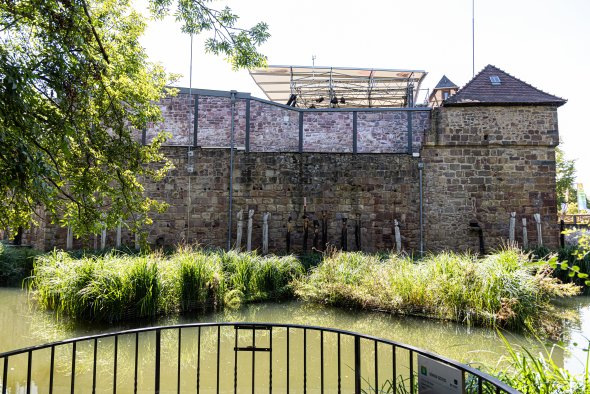 Mauerwerk mit Wehrgang und Zinnen hinter einem Wassergraben mit Schilf und einem schwarzen Metallgeländer im Vordergrund