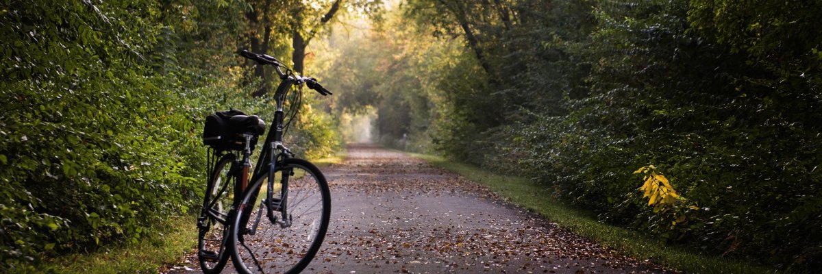 Fahrrad steht auf einem von Bäumen gesäumten Weg mit Laub auf dem Boden