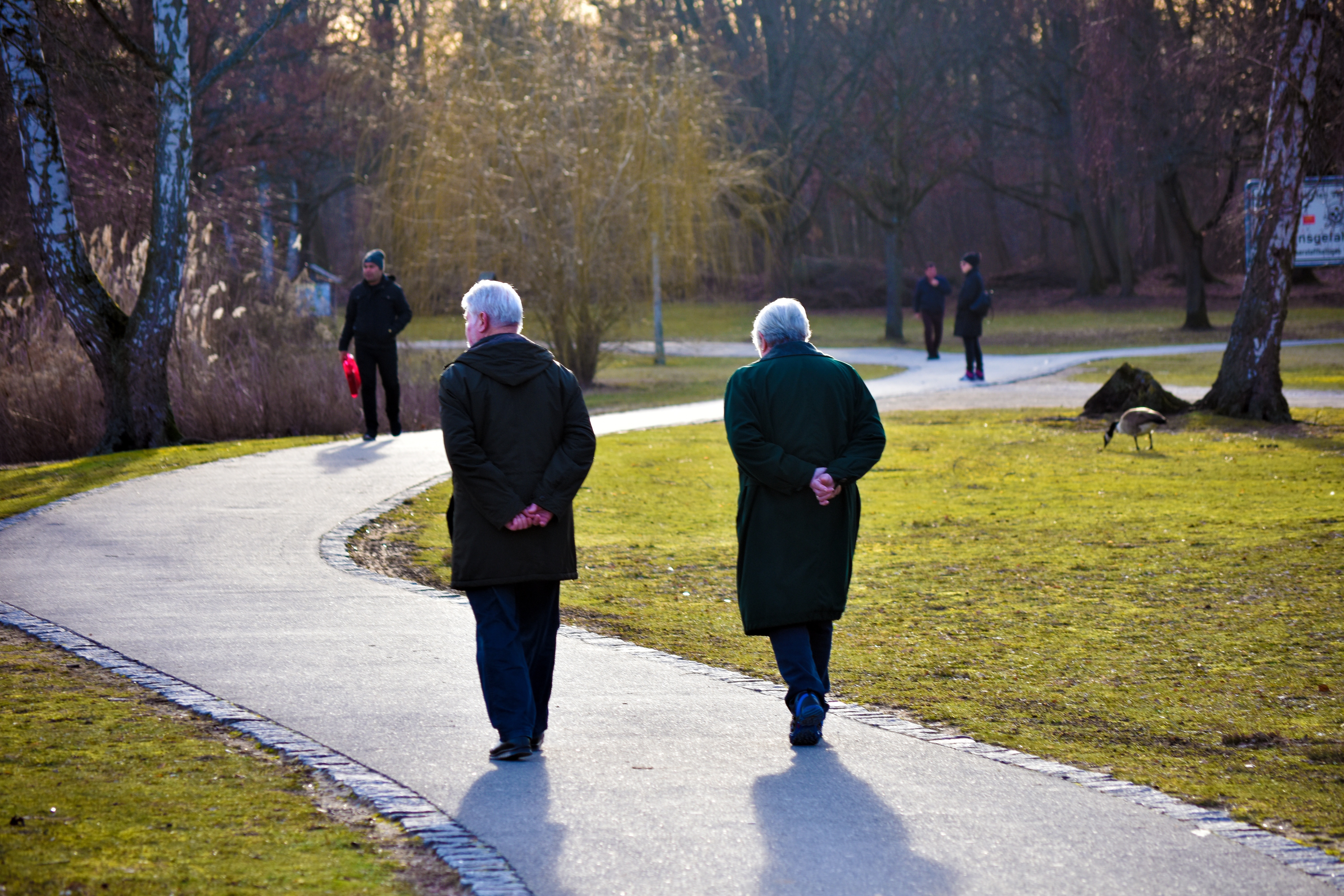 Zwei ältere Personen gehen auf einem geschwungenen Weg in einem Park, weitere Personen und eine Gans sind im Hintergrund zu sehen
