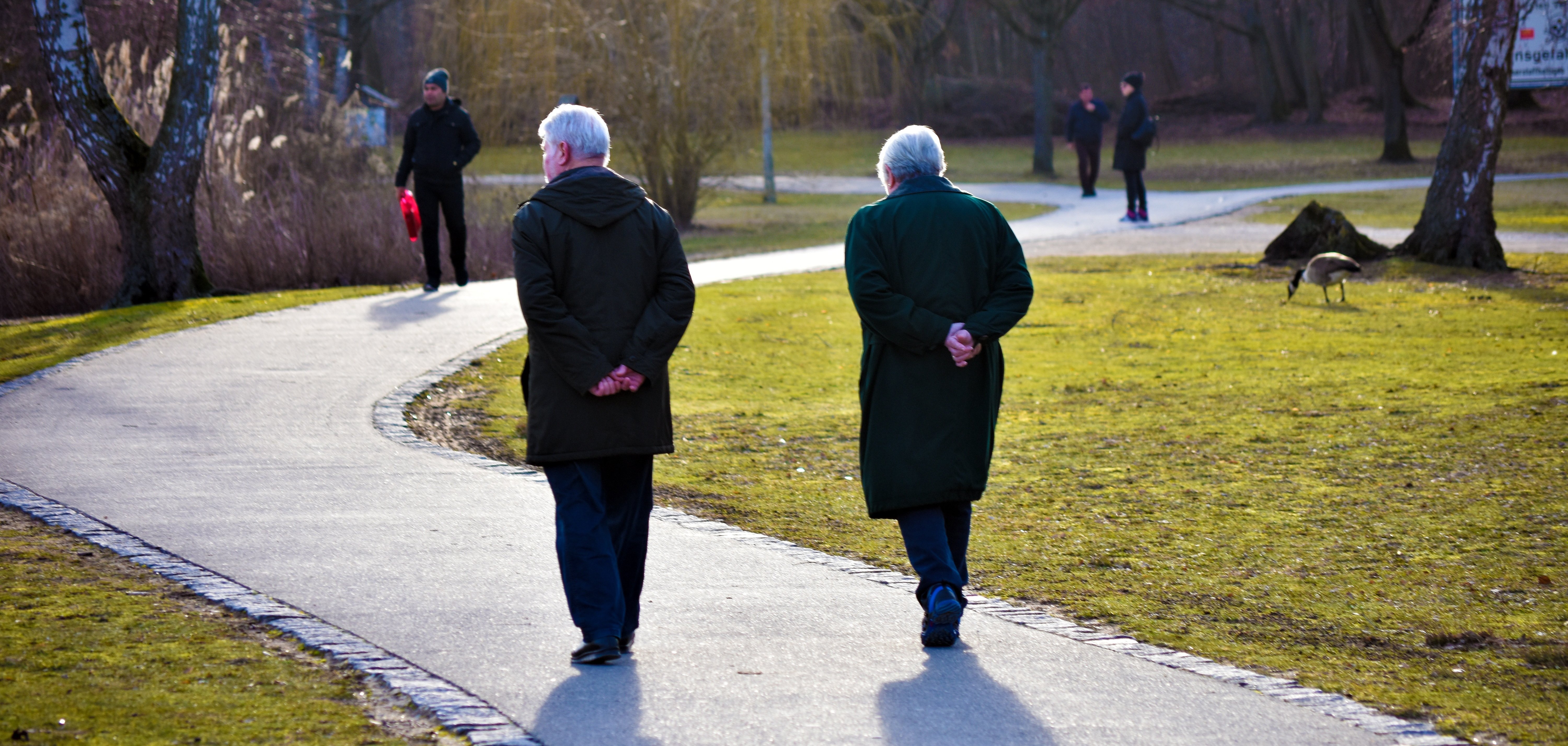Senioren Zwei ältere Personen gehen auf einem geschwungenen Weg in einem Park, weitere Personen und eine Gans sind im Hintergrund zu sehen