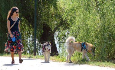 Frau mit Sonnenbrille und Blumenrock geht mit zwei angeleinten Hunden an einem Weg entlang, im Hintergrund Bäume und Wasser, vermutlich auf einem Friedhof