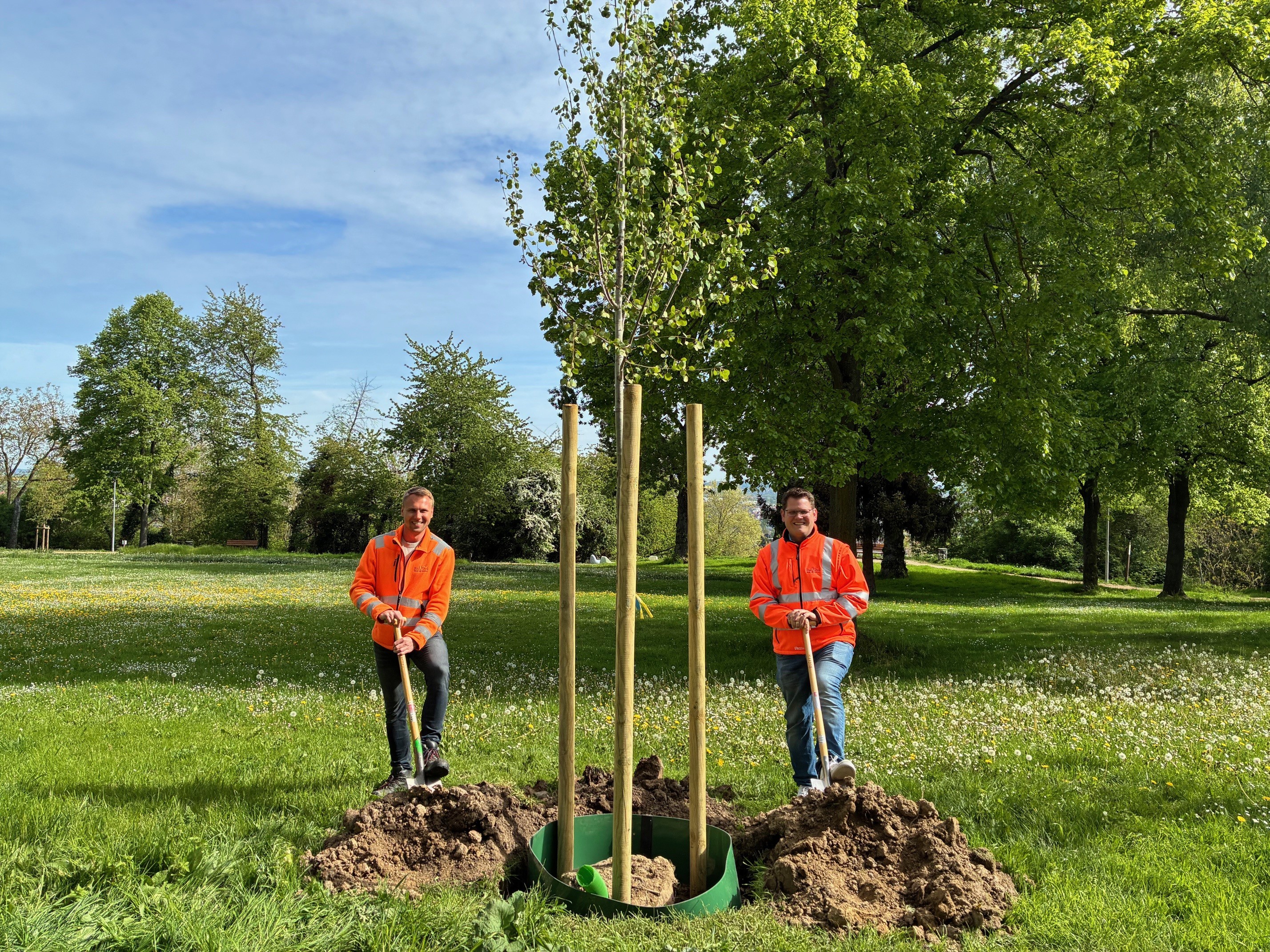 Zwei Männer in orangen Jacken stehen auf einer Wiese neben einem frisch gepflanzten Baum, der von Holzpfosten gestützt wird