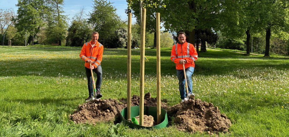 Zwei Männer in orangen Jacken stehen auf einer Wiese neben einem frisch gepflanzten Baum, der von Holzpfosten gestützt wird